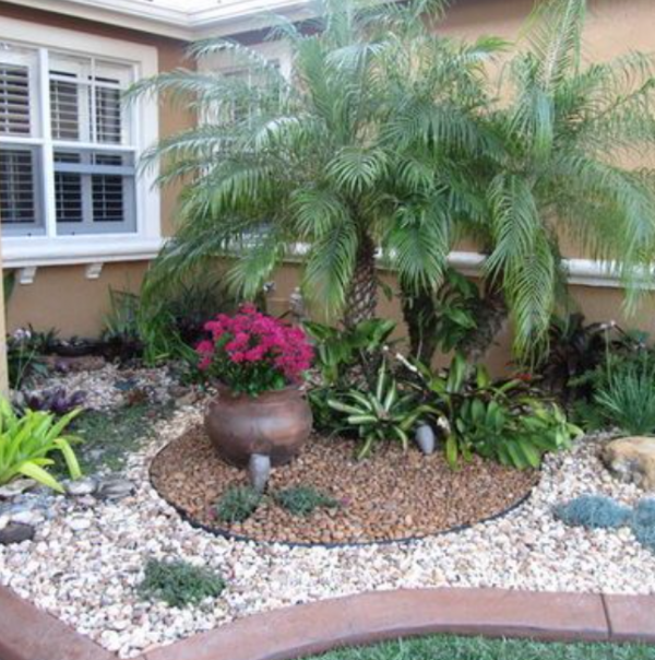 Pohon palem besar di pojokan